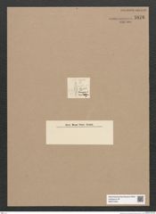 Diatomeae indet. Zeichnungen Sammlung Grunow Nr. 5876 (NHMW-BOT-W0374323)